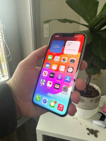 iPhone 13 Pro 256GB Cracked Back