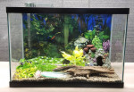 20 gallon fish tank