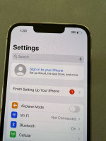 iPhone 13 Pro Unlocked