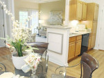 Cozy apartment interior showcasing solid granite countertops and modern decor in Midlothian, VA