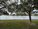 4/2 Home For Rent! New Flooring and Paint! Wellington and Royal Palm