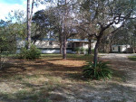 Snowbirds Nest in Florida