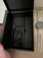 Watch Garmin Fenix 6s