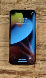 iPhone X Silver 256GB Unlocked Mint