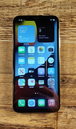 iPhone X Silver 256GB Unlocked Mint