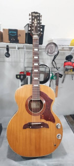 Arnold Hoyer Acoustic Electric12 String