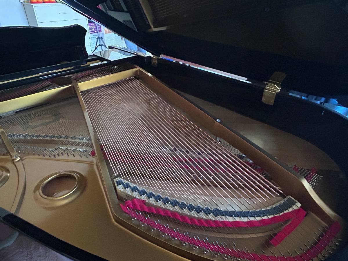 Korean piano
