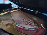 Korean piano