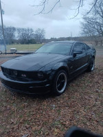 2006 Ford Mustang GT Premium in black, parked on leaf-covered ground, showcasing its sporty design.