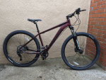 Royce Union RHT 29" Mountain Bike - medium frame