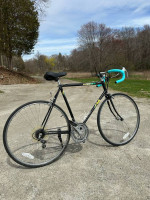 Fuji Arcadia 12-speed Road Bike 58 cm
