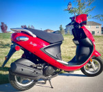 2019 Genuine Buddy 50cc Scooter