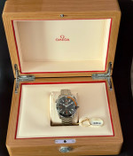 Omega Planet Ocean 600M Men’s Watch