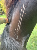 Lazy Lightning (aka) Zing (aka) Amazing