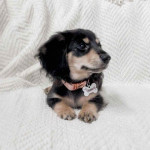 Looking for a new home!