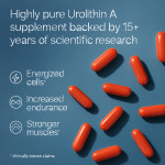 Pure Power: Urolithin A for Energy & Longevity