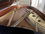C3 Conservatory Grand Piano