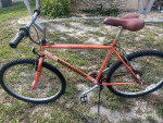Mongoose Threshold Sport Bike