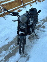 Triumph Trident 660 2023 For Sale