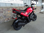 2023 HONDA NAVI IN STOCK NOW, GREAT BUY ON A MINI MOTO STREET LEGAL!