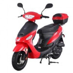 New 2024 Gas Powered 50cc Mopeds for sale