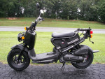 2024 Honda Ruckus