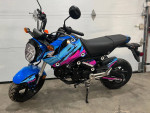 2022 Honda Grom ABS 5 speed 131 miles Will Trade