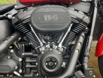 2023 Harley-Davidson Softail FXBBS - Street Bob 114 SKU:N23-0235