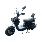 Armada Recon Electric NO TAX (no license needed)