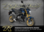 New 2023 Kawasaki Z125 PRO in Blue @ RideNow!
