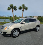 Immaculate 2010 Cadillac SRX luxury edition with scenic background and palm trees