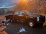 Ford 50,000 mi