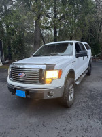 2010 Ford F-150 XLT 4WD  110,000 mi