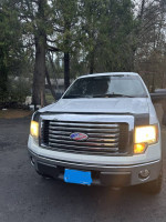 2010 Ford F-150 XLT 4WD  110,000 mi