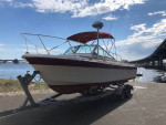 25’ Wellcraft with Honda 225 Outboard