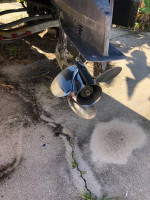 FAMILY TRIHULL BAYLINER