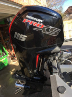 Bass Tracker Pro Team 190 tx