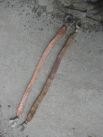 55-85 Chevrolet engine ground straps