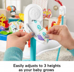 Fisher-Price Baby Bouncer Animal Activity Jumperoo With Music Lights S