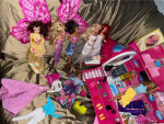 Only $75 BIG BARBIE COLLECTION