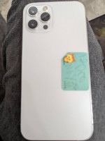 iPhone 12 pro Max 256 GB fully unlocked